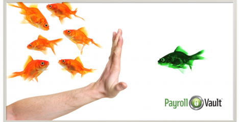 What are protected classes? Are they different from protected characteristics?